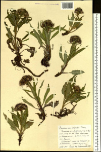 �������� ���������