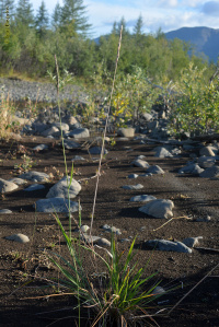 �������� �������������