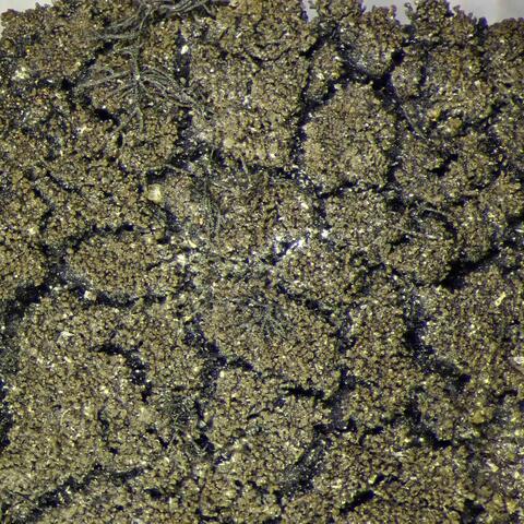 ���������� ��������������