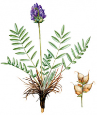 ������������� ���������