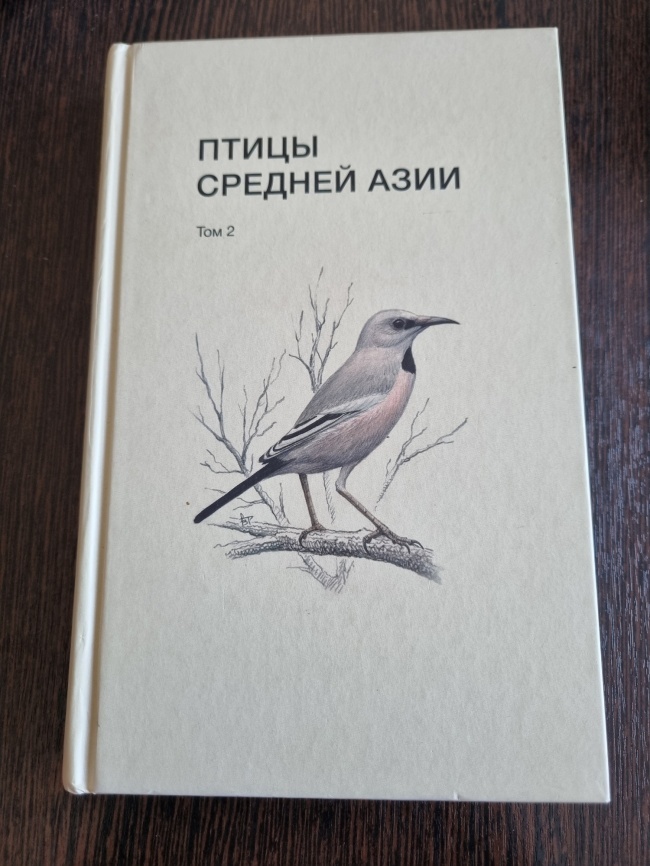 ����� ������� ���� ��� 2