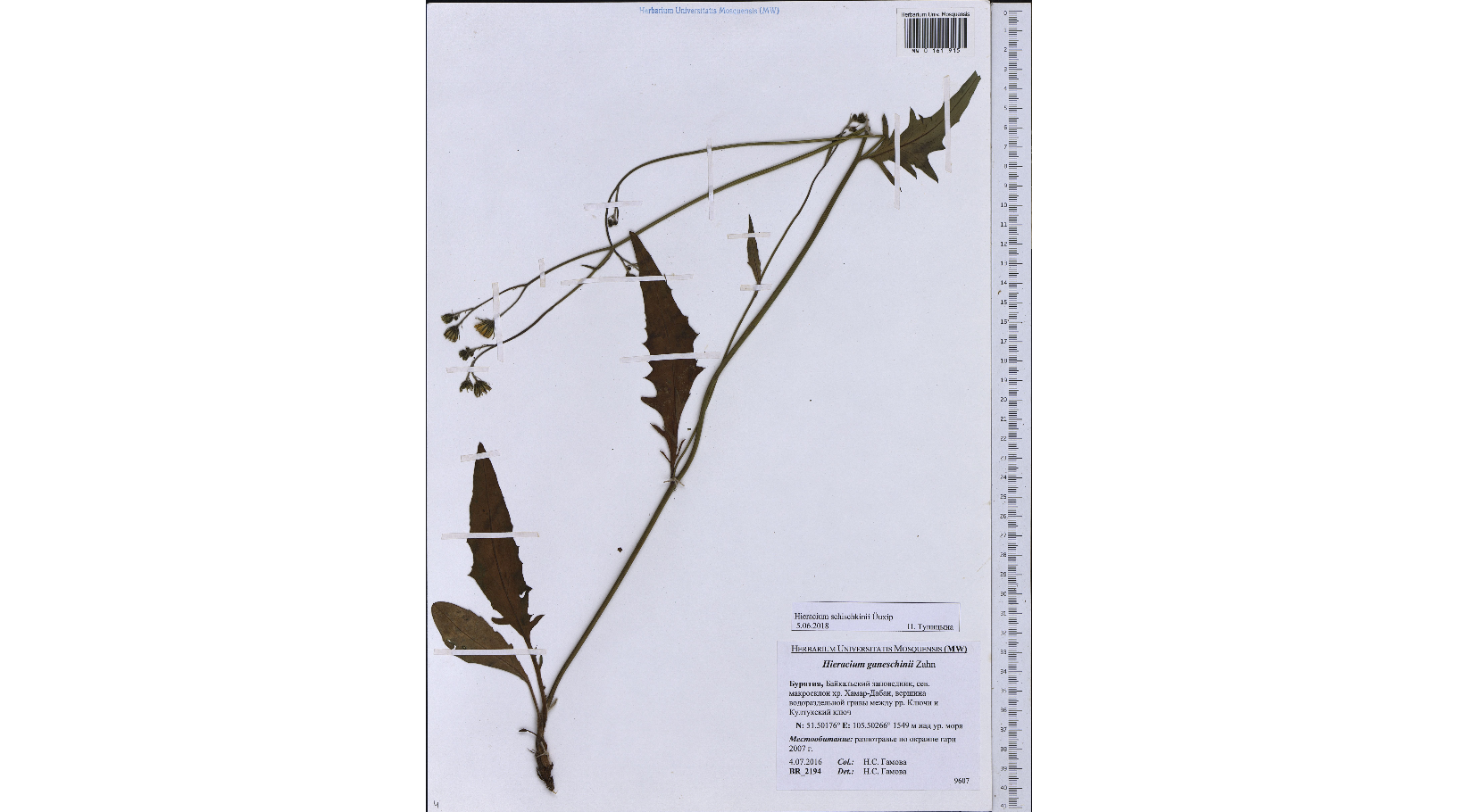 ���������� �������