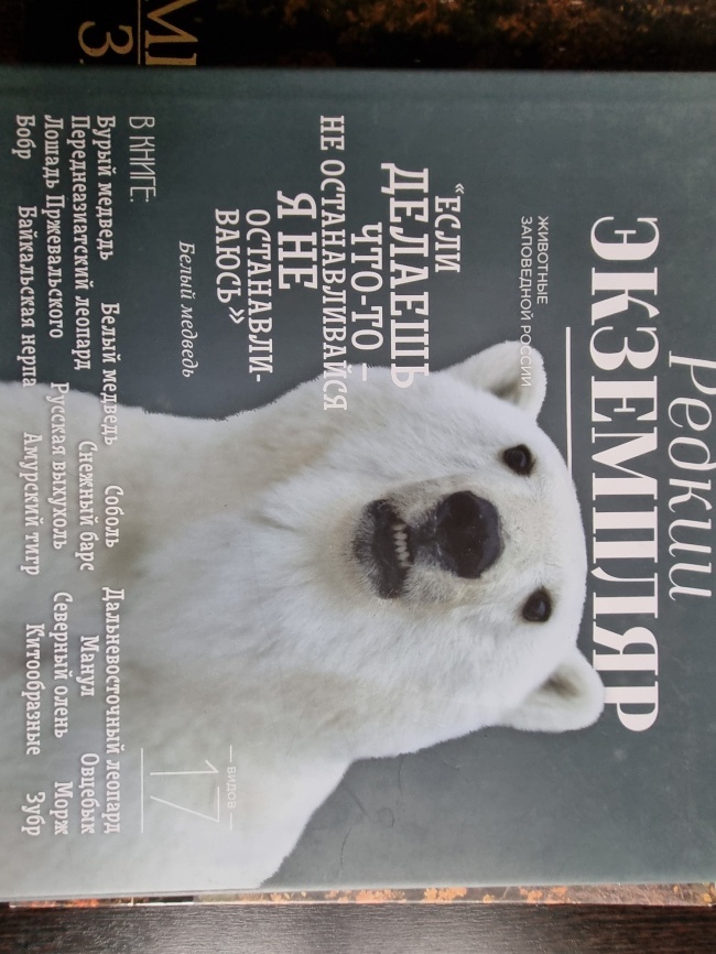 ����� "������ ���������"