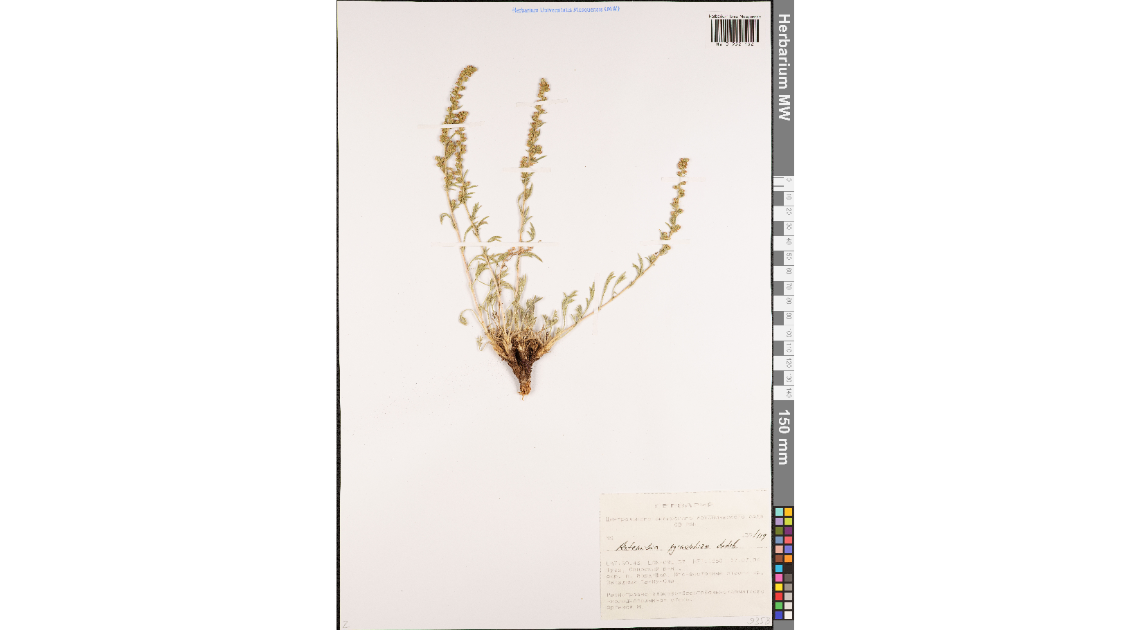 ������ �������������