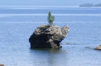 �������������� �����