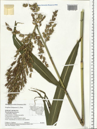 ����� ���������