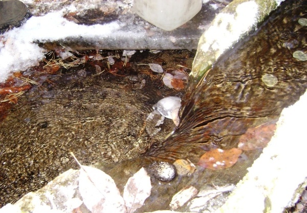 ���������� ��������