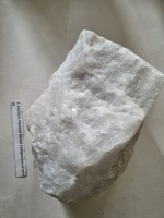 ������ ����� 