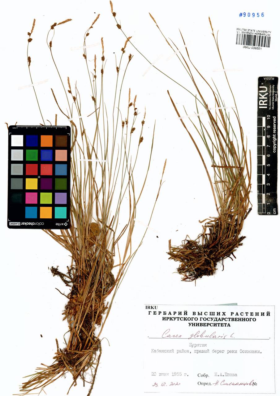 ����� ����������