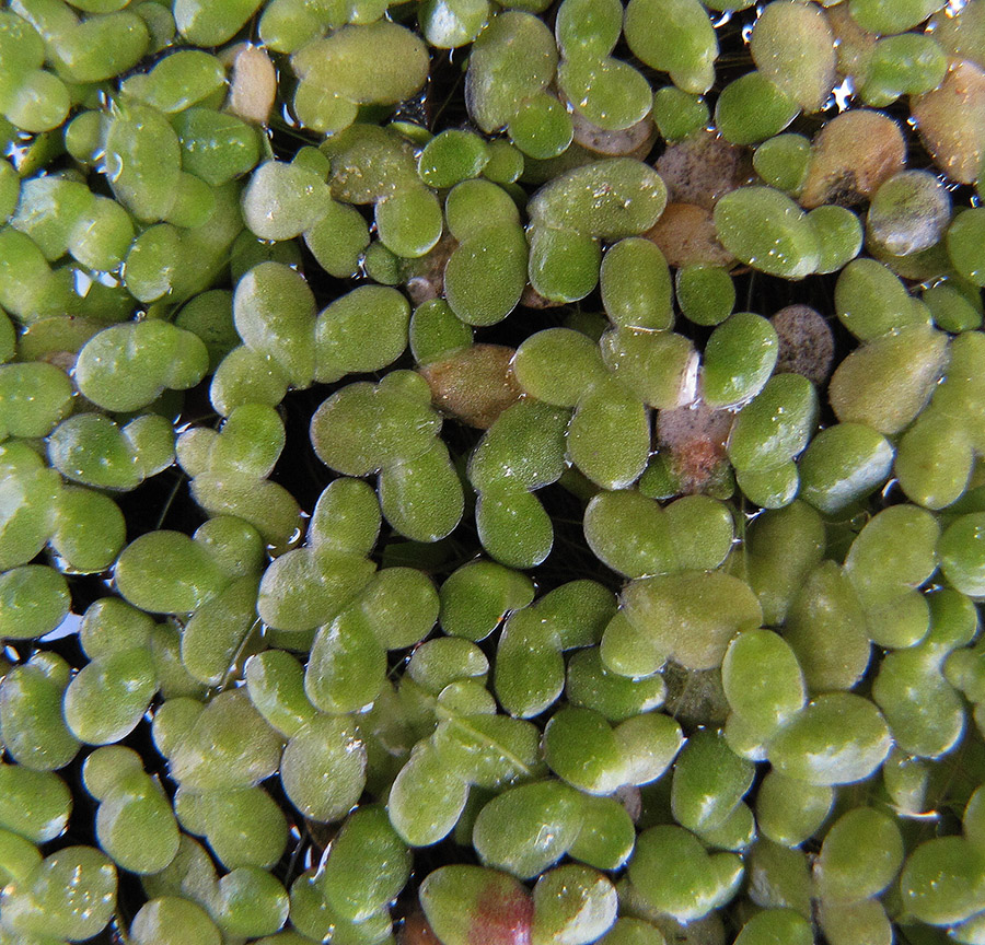 ����� �����������������