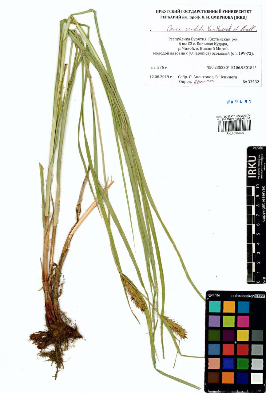 ����� �������