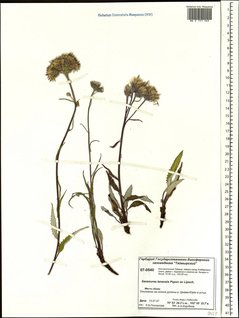 �������� �������