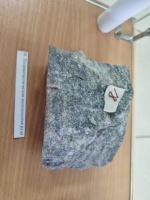 ����������������� ������������ ����