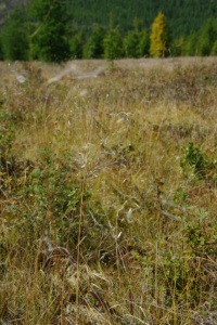 ��������� ����������