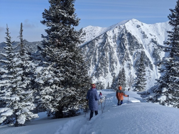 ����� ��������� ����