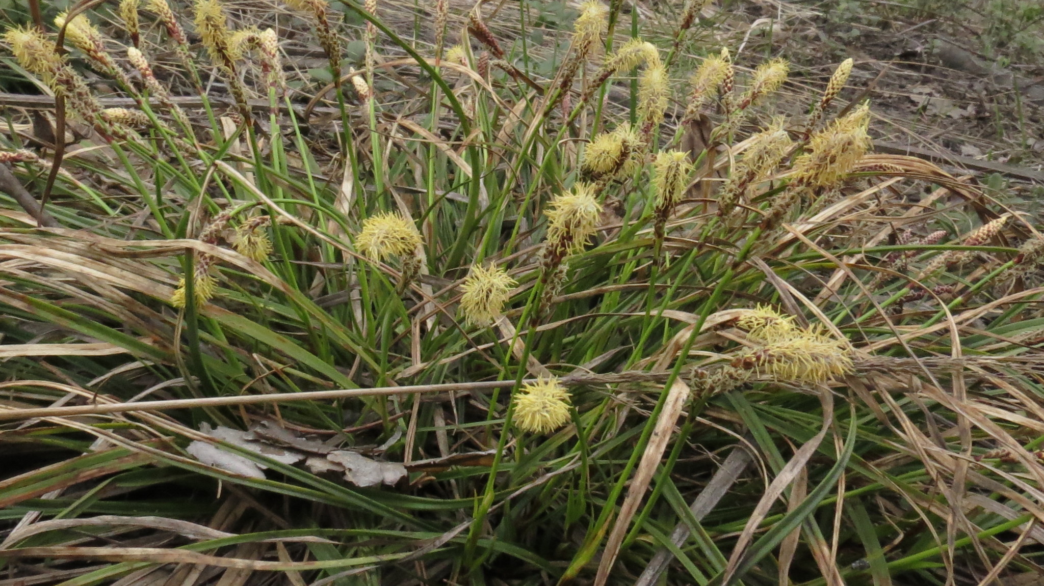 ����� ��������������