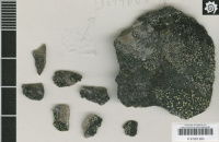 �������� ��������������