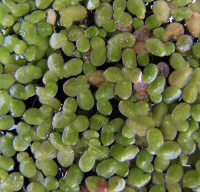 ����� �����������������