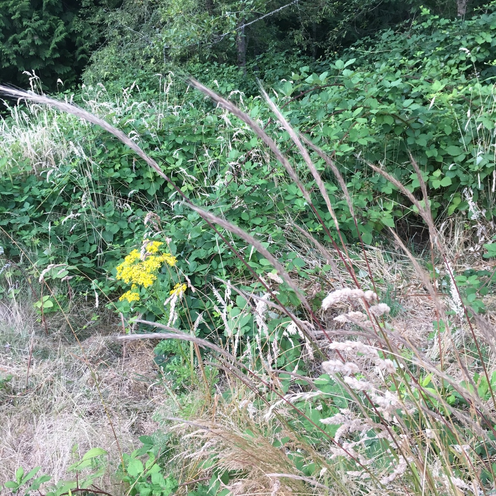 �������� ��������������