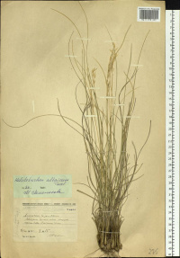 ��������������� ���������