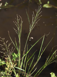 ��������� ����������