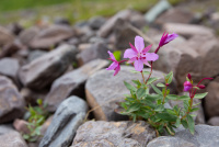 ���������� �������������