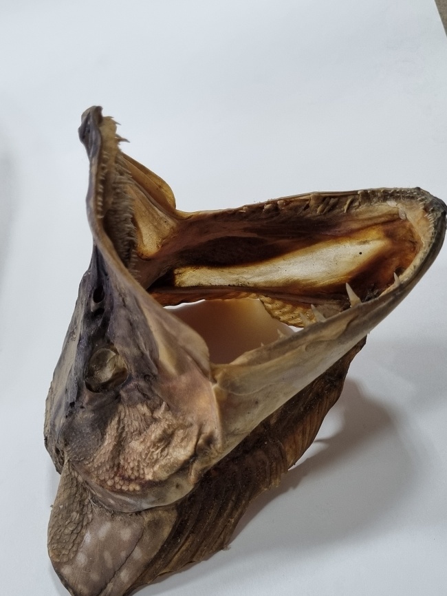 ���������� ������ ����