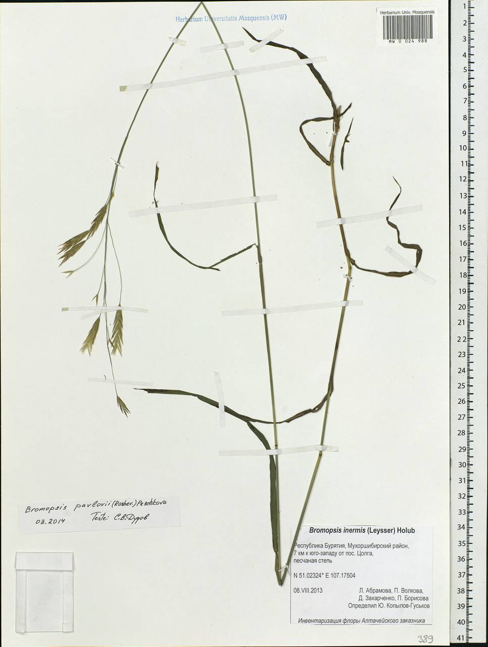 ������ �������