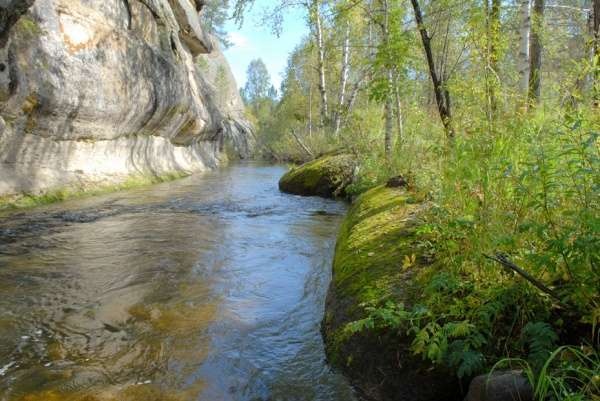 ����������� ��������