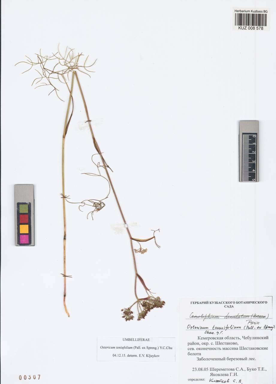 �������� ������������