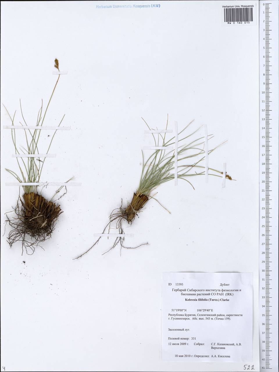 ����� �������