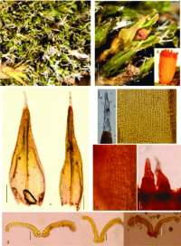 ���������� ��������