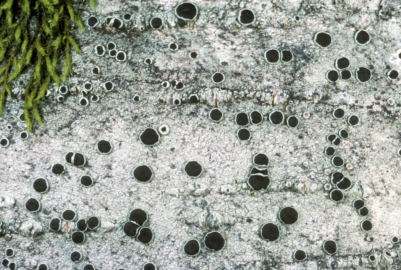 ��������� ������