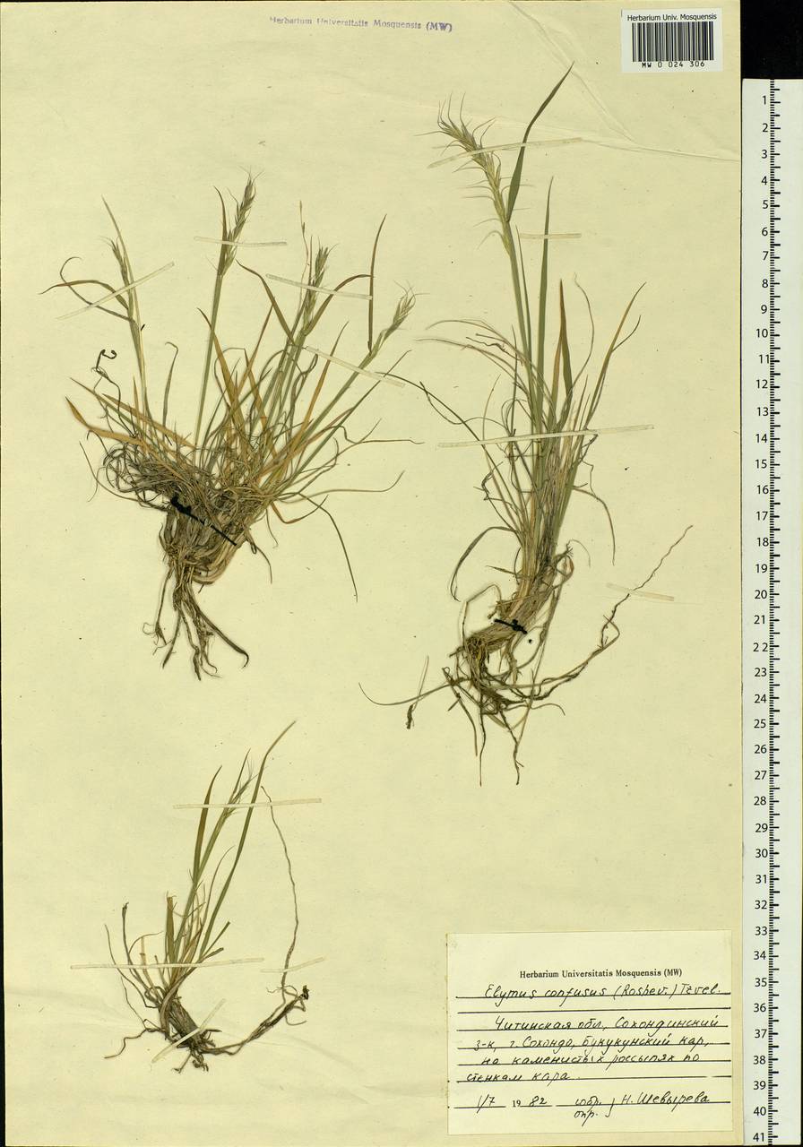 �������� �����������