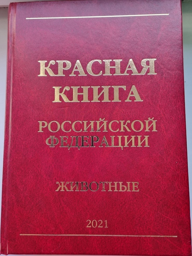 ������� ����� ��. ��� ��������. 2-� �������.