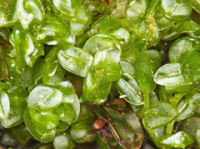 ��������� �������������