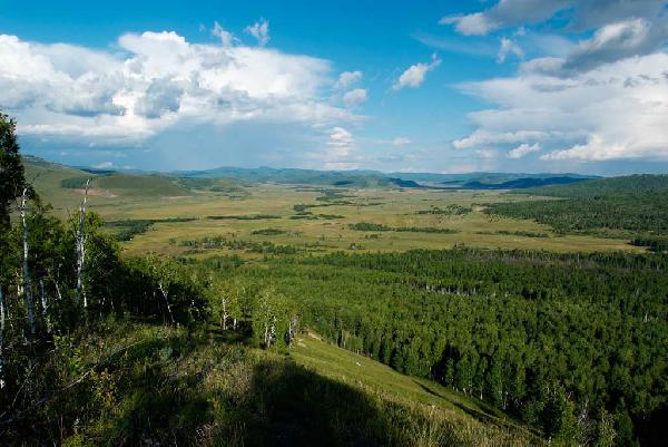 ������������ �����