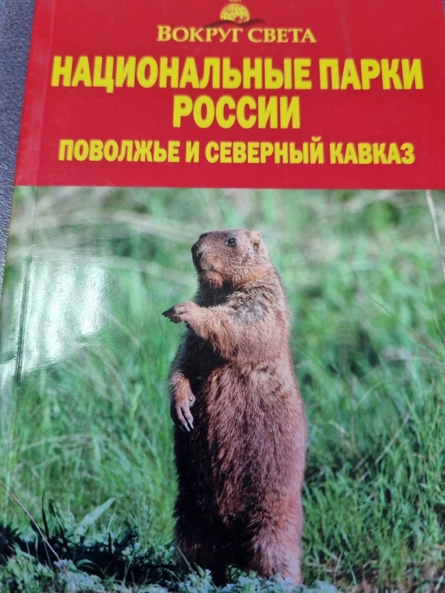 ������������ ����� ������ �������� � �������� ������