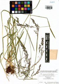 ������ ��������������