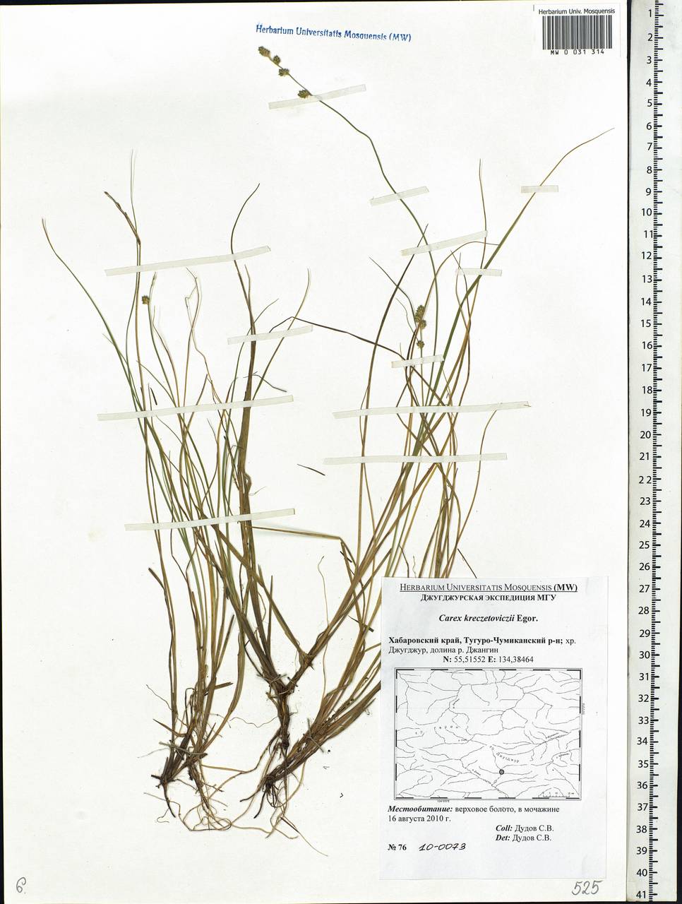 ����� �����������