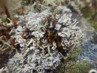 ������������ ����������������