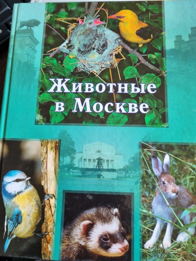 �������� � ������