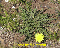 ��������� ���������