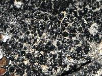 �������� ������