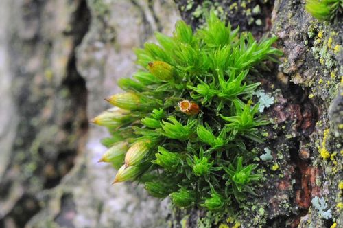 ���������� �������������