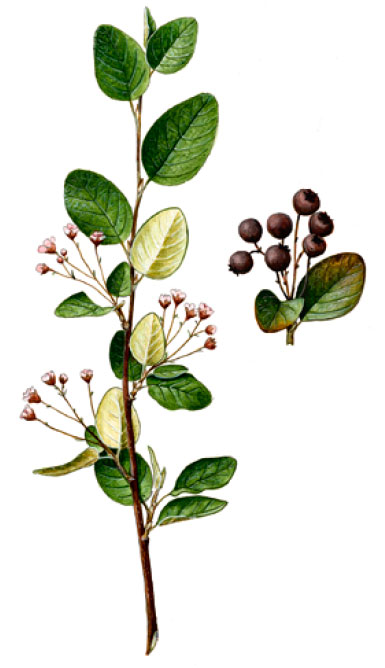 ��������� ����� ������