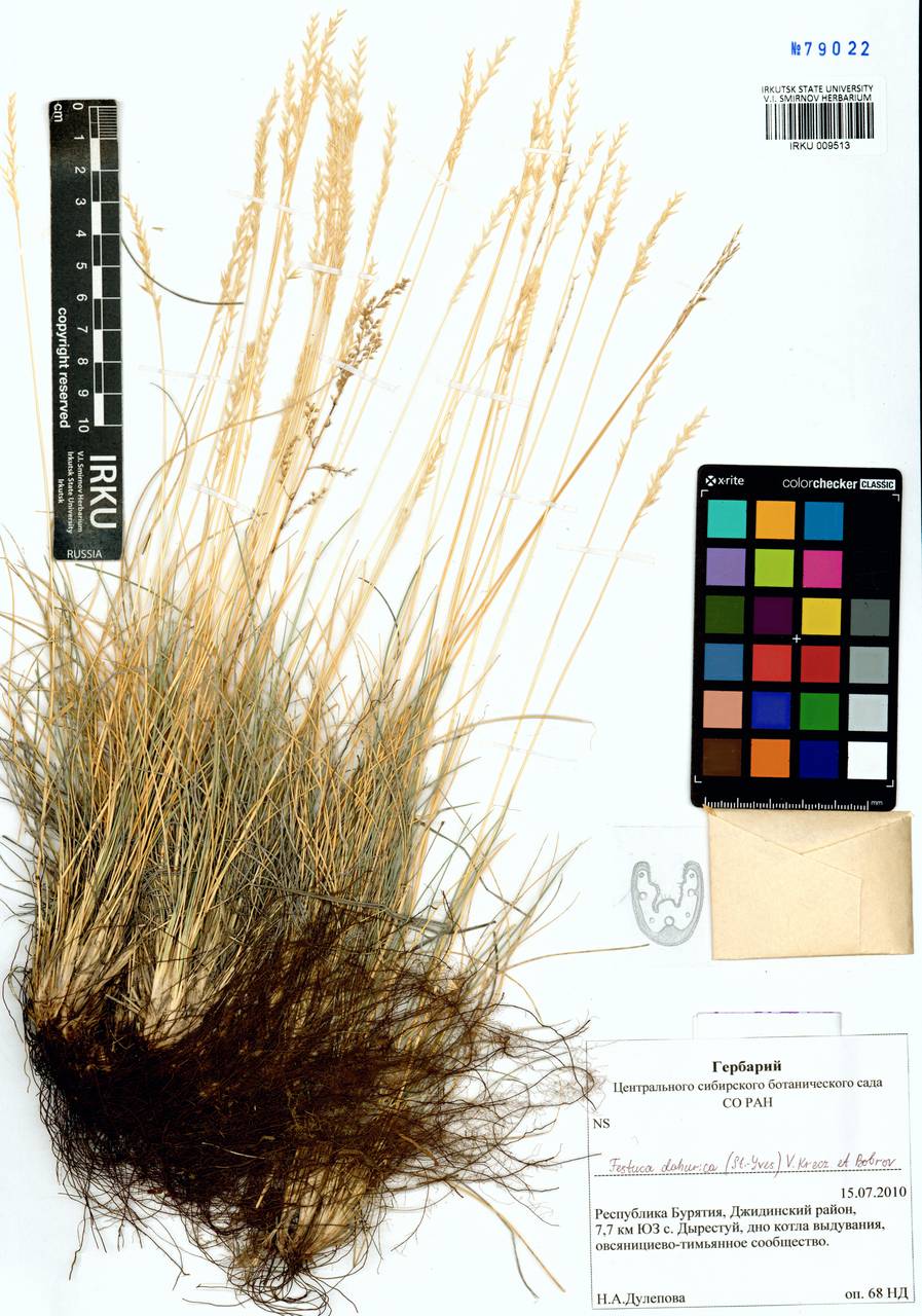 �������� ��������