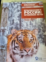 ������� ����� ������: �������� �������