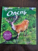 ���������� ����������� �����