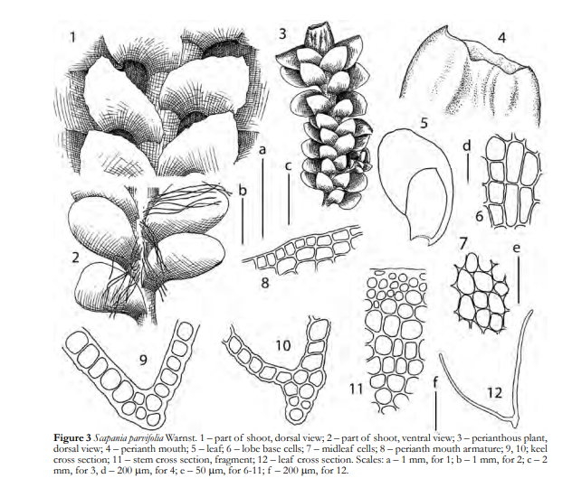 �������� ������������